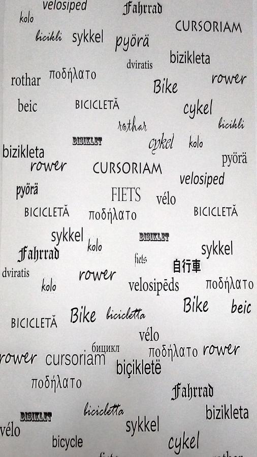 B Apartments - Bike Apartment Тімішоара Екстер'єр фото